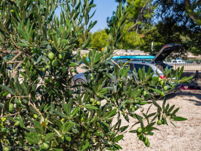 Horvaatia loodusmatkad