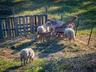 Horvaatia loodusmatkad