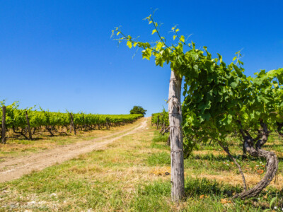 Horvaatia loodusmatkad