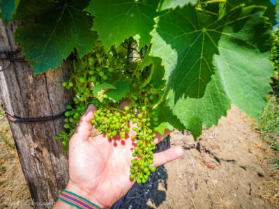 Horvaatia loodusmatkad