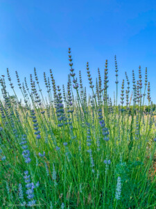 Horvaatia loodusmatkad