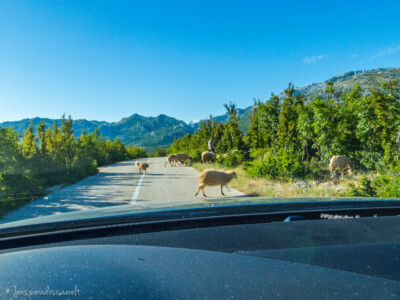 Horvaatia loodusmatkad