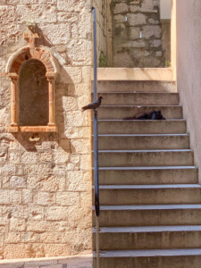 Horvaatia loodusmatkad