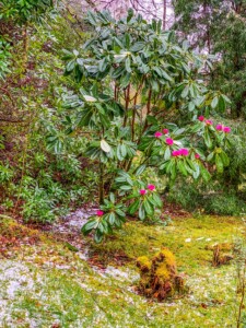 VAATA MILLAL ☞ <a href="https://paradiisisaar.ee/sotimaa-loodusmatkad/#millaltoimub">MATKAME!</a> Šotimaa loodusmatkad