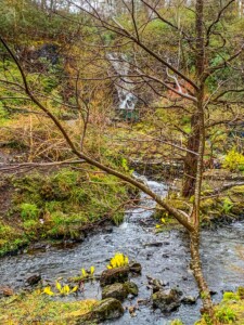 VAATA MILLAL ☞ <a href="https://paradiisisaar.ee/sotimaa-loodusmatkad/#millaltoimub">MATKAME!</a> Šotimaa loodusmatkad
