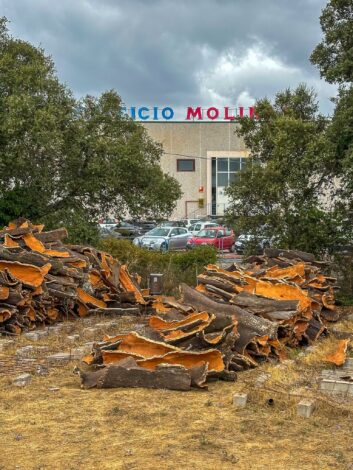 See tehas toodab üle miljardi veinikorgi aastas