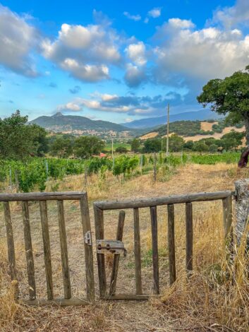 Agriturismo'tame...