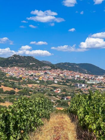 Berchidda linnakesse oli meie juurest ca 1km