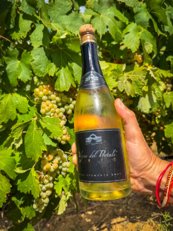 Ja Vermentino-viinamarjadest valmistaud vahuvein... Salute!