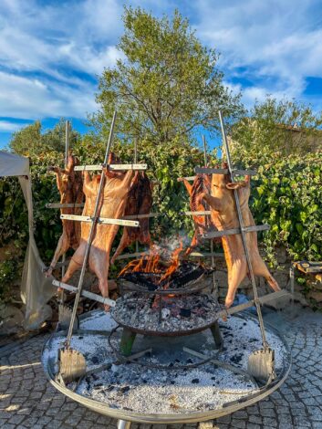 Cantina del Vermentino festivalil