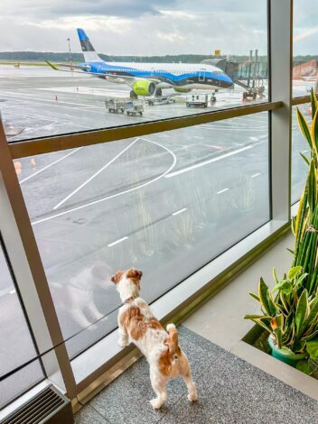 Puhkus algas Riia lennujaamast