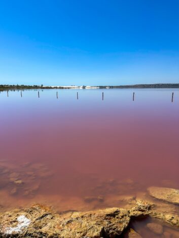 Lago Rosa - roosa soolajärv - Torrevieja