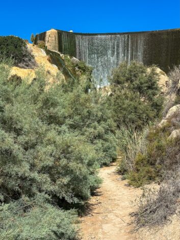 Matk Elche tammile - Embassament d’Elx