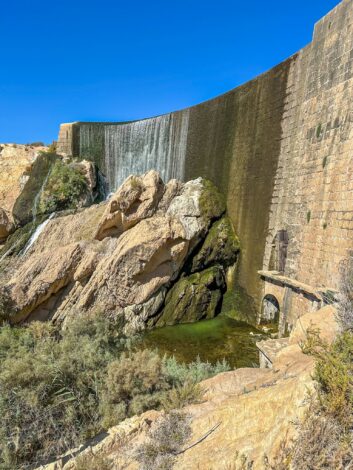 Matk Elche tammile - Embassament d’Elx