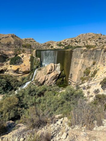 Matk Elche tammile - Embassament d’Elx