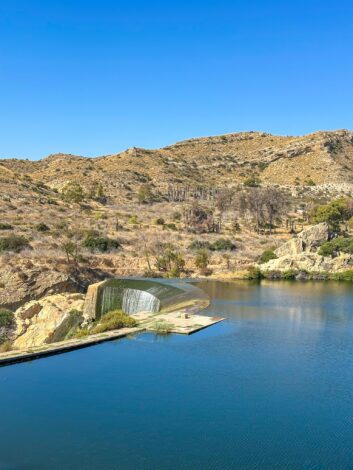 Matk Elche tammile - Embassament d’Elx